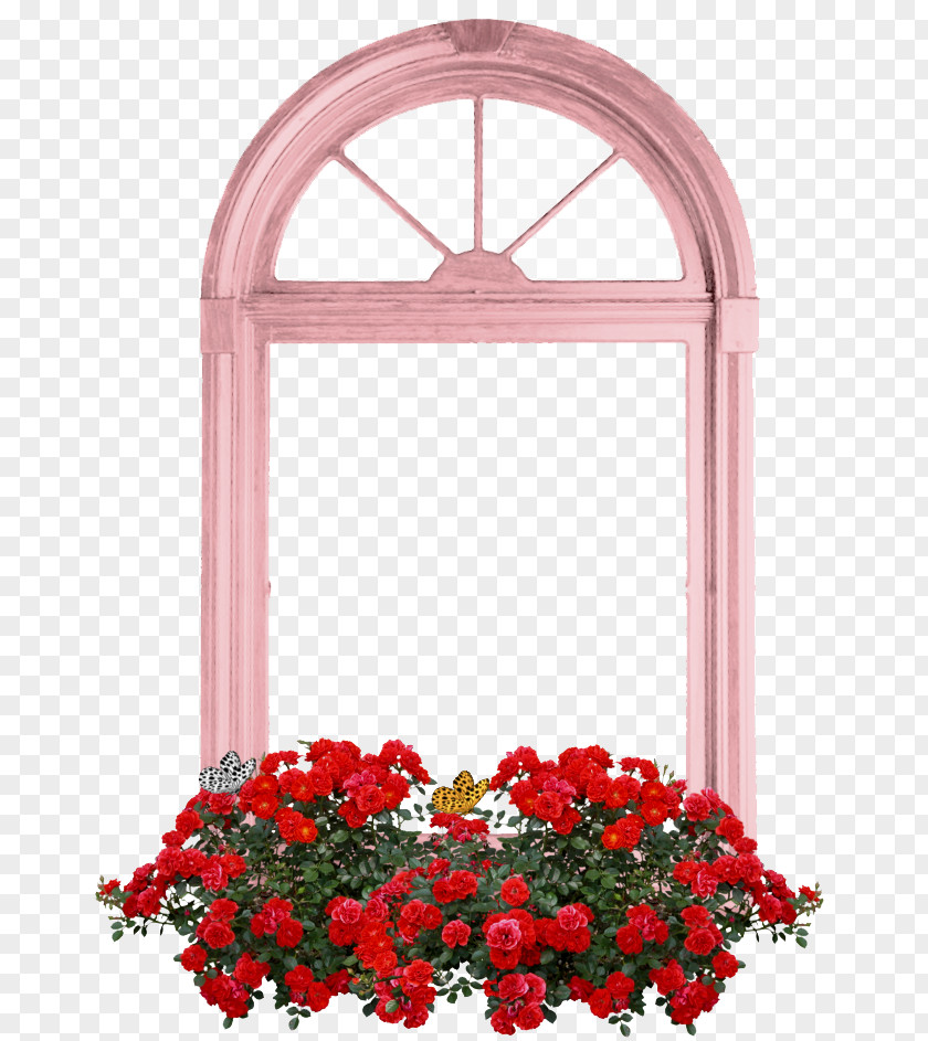 Dan Humphrey Floral Design Window Cut Flowers Garden Roses PNG