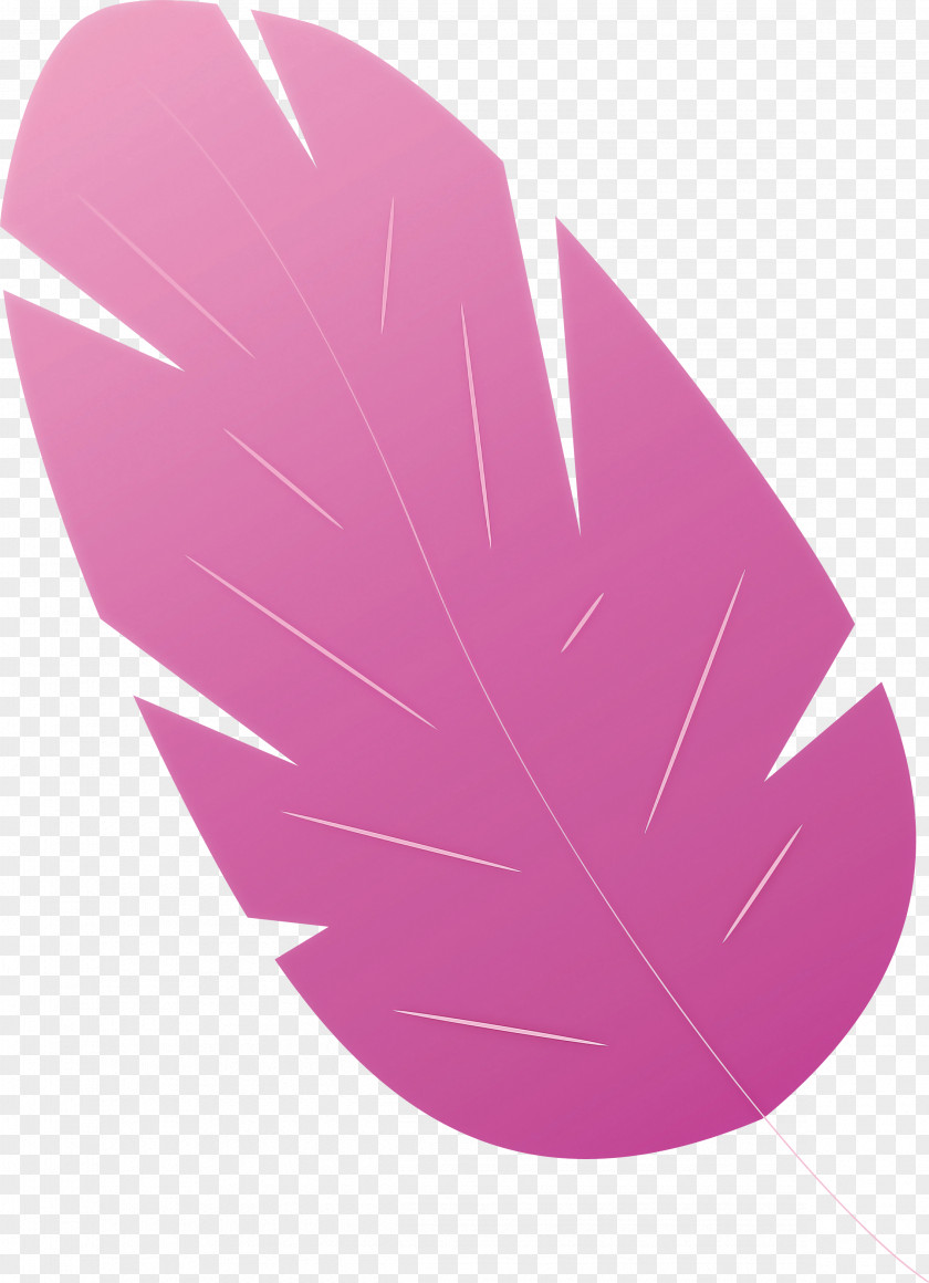 Leaf PNG