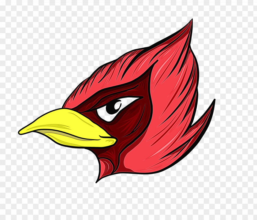 Perching Bird Eagle Arizona Cardinals NFL Chicago Cubs Saginaw Valley State Football PNG