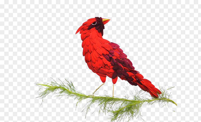 Red Petals Hand Fight Bird Owl Petal Flower Leaf PNG