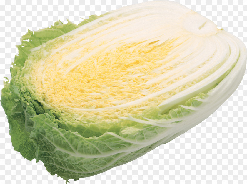 Salad Image Napa Cabbage Vegetable Food Roll Wrap PNG