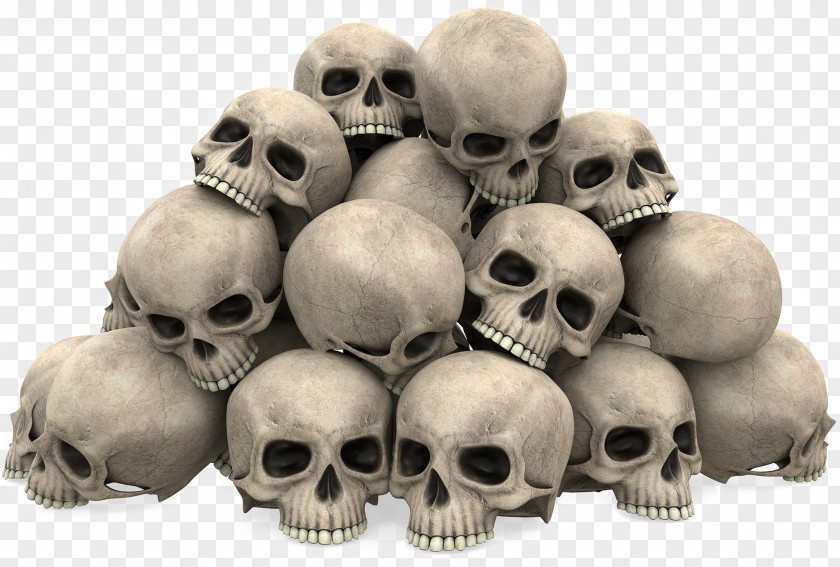A Bunch Skull Stock Photography Illustration PNG