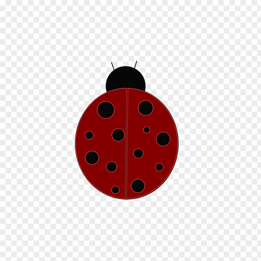 Insect Polka Dot Ladybird PNG