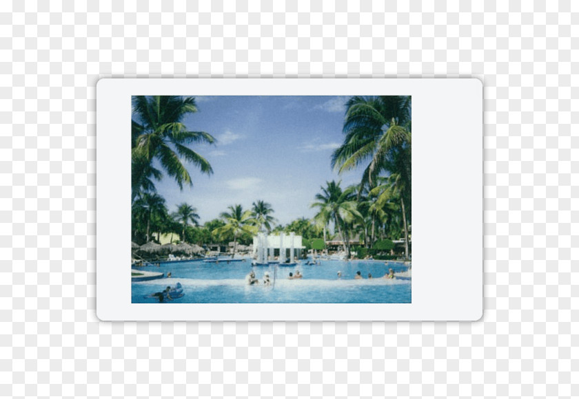 Vacation Caribbean Tropics PNG