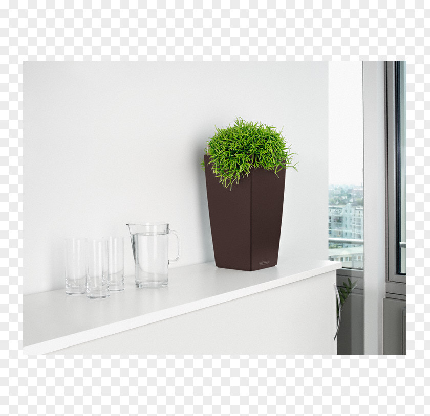 Vase Glass Herb Houseplant Flowerpot PNG