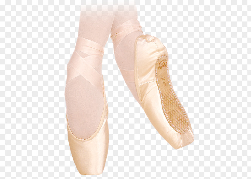 Ballet Shoe Pointe Technique Dance PNG