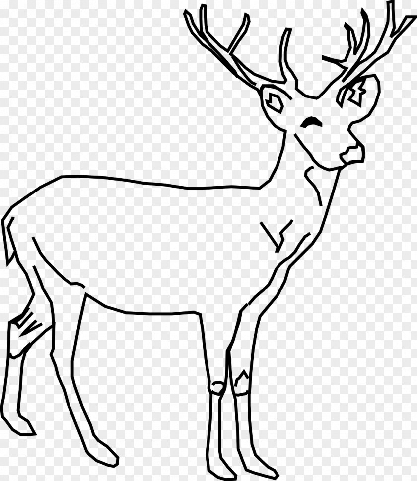 Deer Illustration White-tailed Red Drawing Clip Art PNG