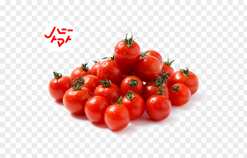 Farm To Table Plum Tomato Bush Food Vegetarian Cuisine PNG