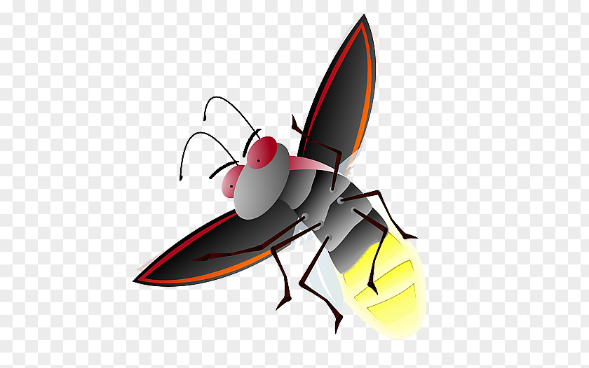 Firefly File Clip Art PNG