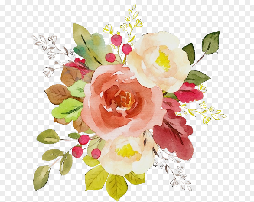 Freesia Blossom Bouquet Of Flowers Drawing PNG