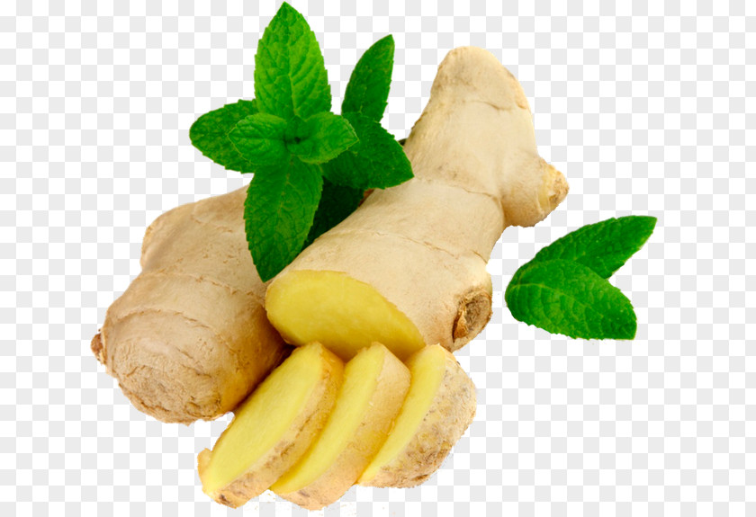 Ginger Icon Download PNG