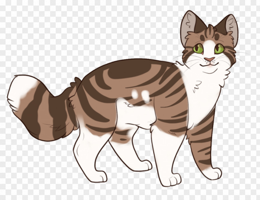 Kitten Whiskers Cat Dog Canidae PNG