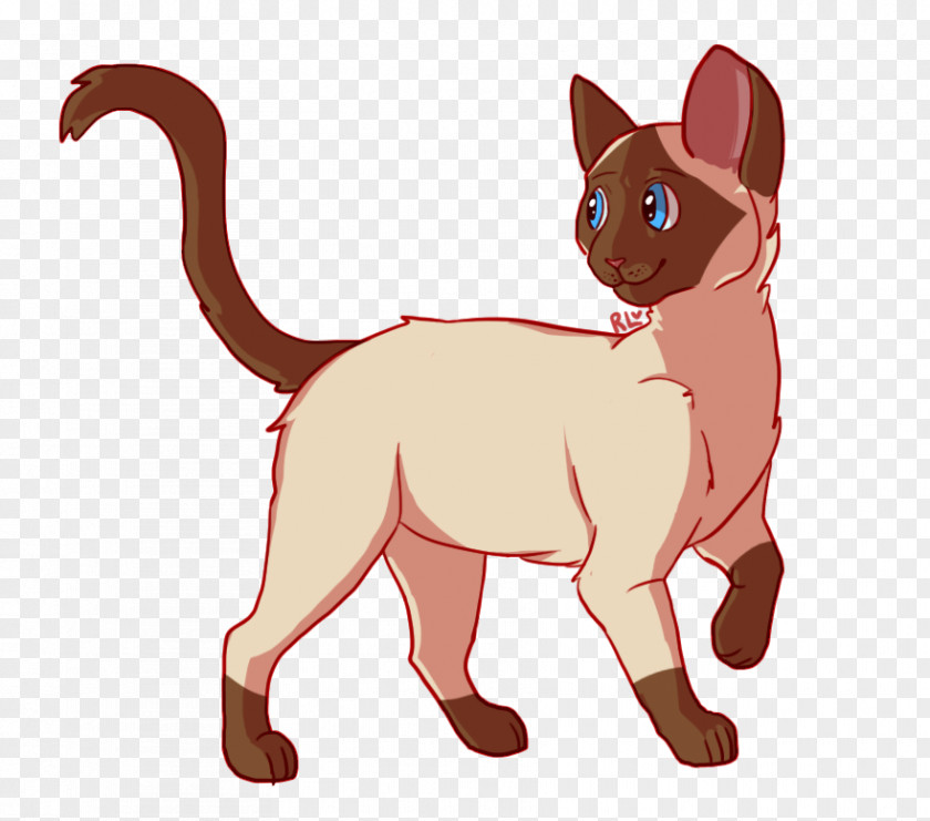 Kitten Whiskers Dog Cat Pikachu PNG