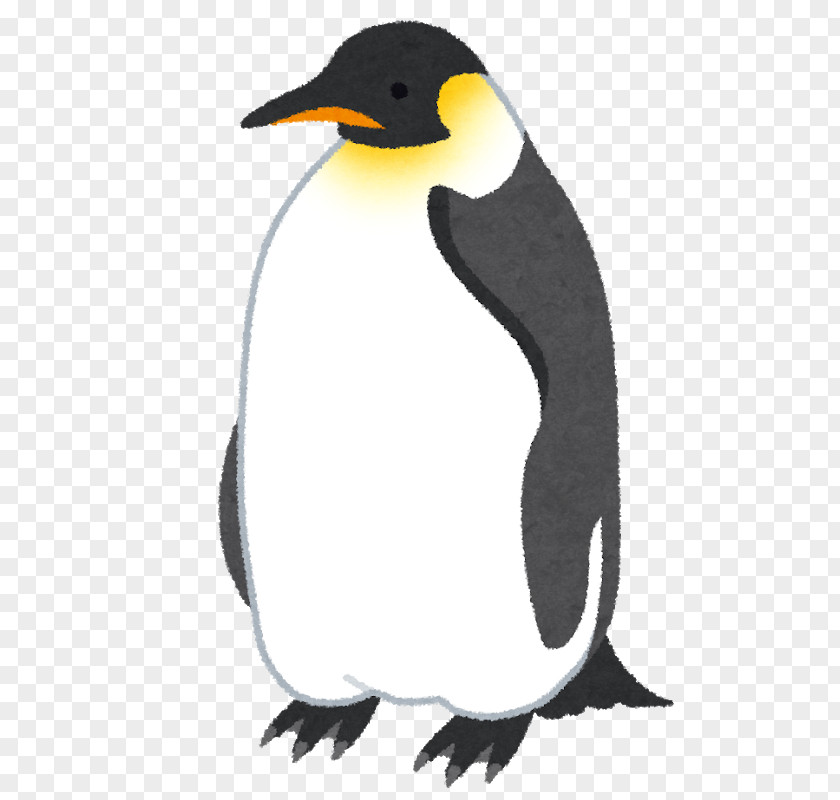 Three Penguins King Penguin Emperor いらすとや PNG