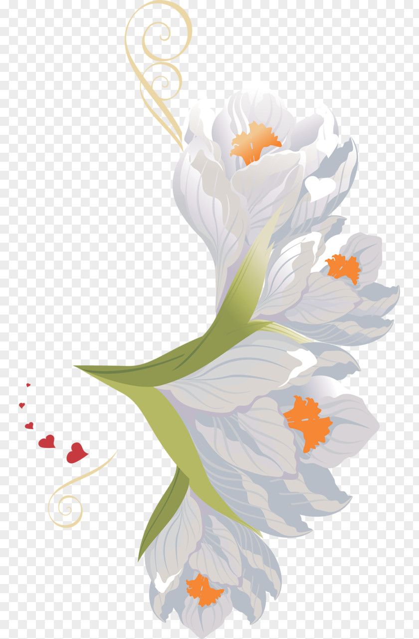 Crocus Flower Clip Art PNG