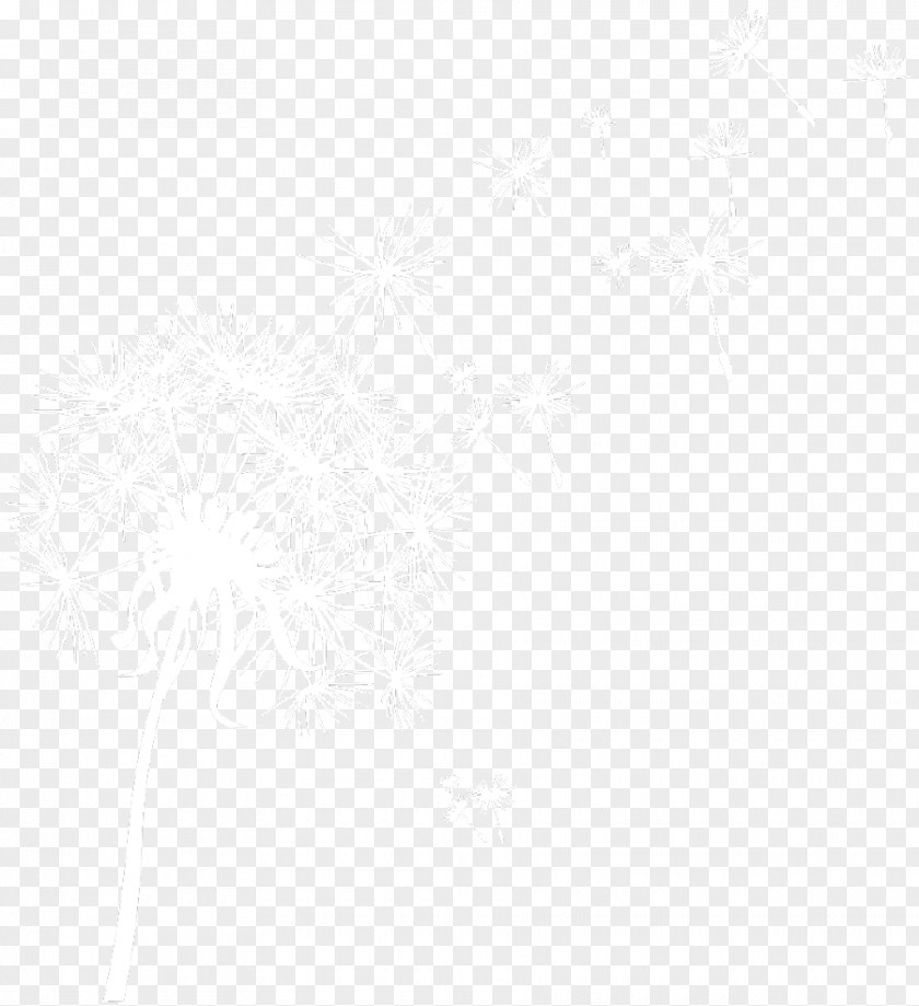 Dandelion Logo White Monochrome Line Sky Plc Font PNG