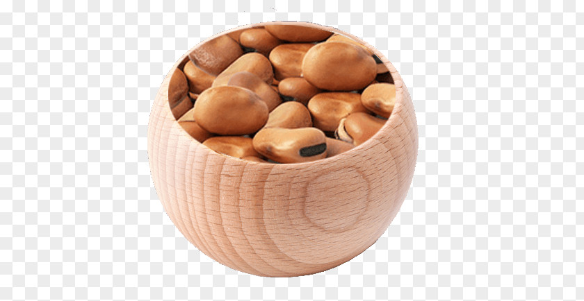 Fava Beans Raw Foodism Legume Hazelnut Bean PNG