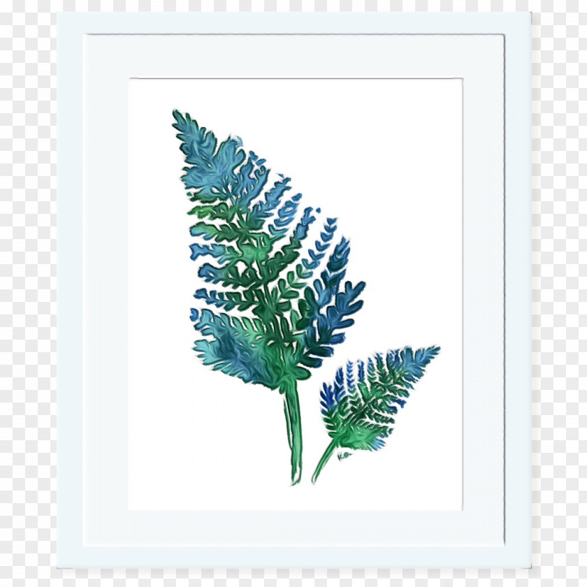 Pine Ferns And Horsetails Watercolor Floral Background PNG