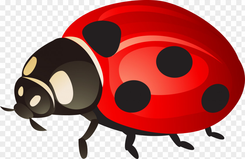 Red Ladybug Ladybird Clip Art PNG