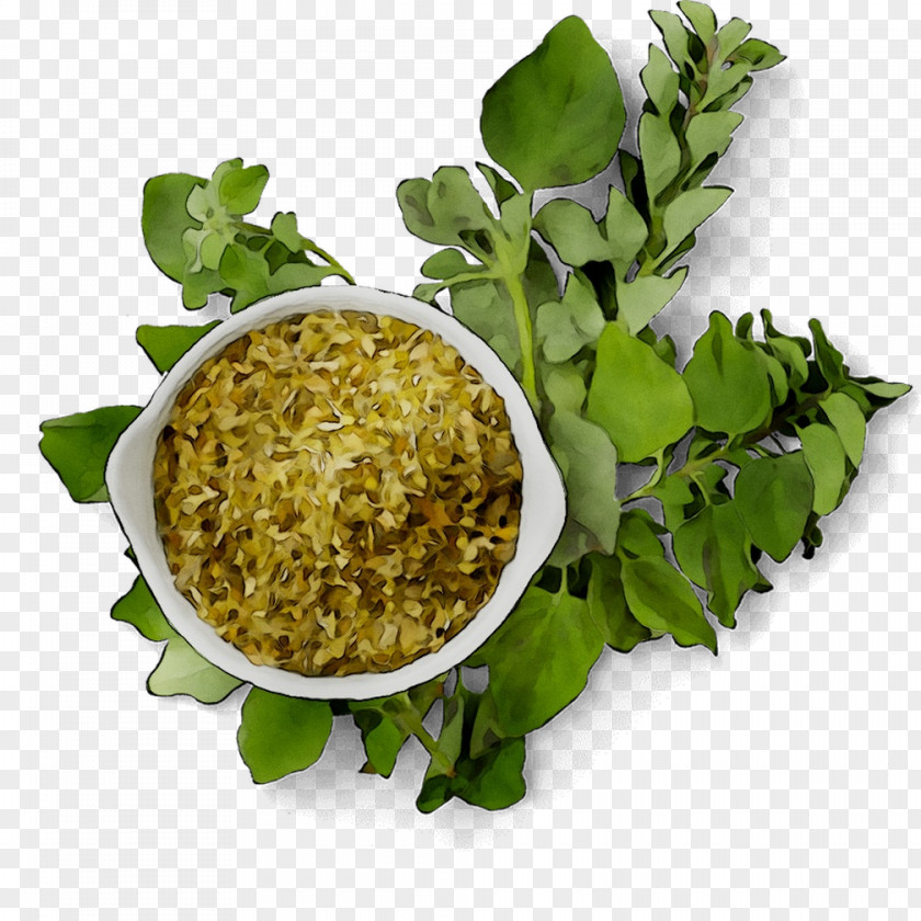 Greens Vegetarian Cuisine Food Herb Rice PNG