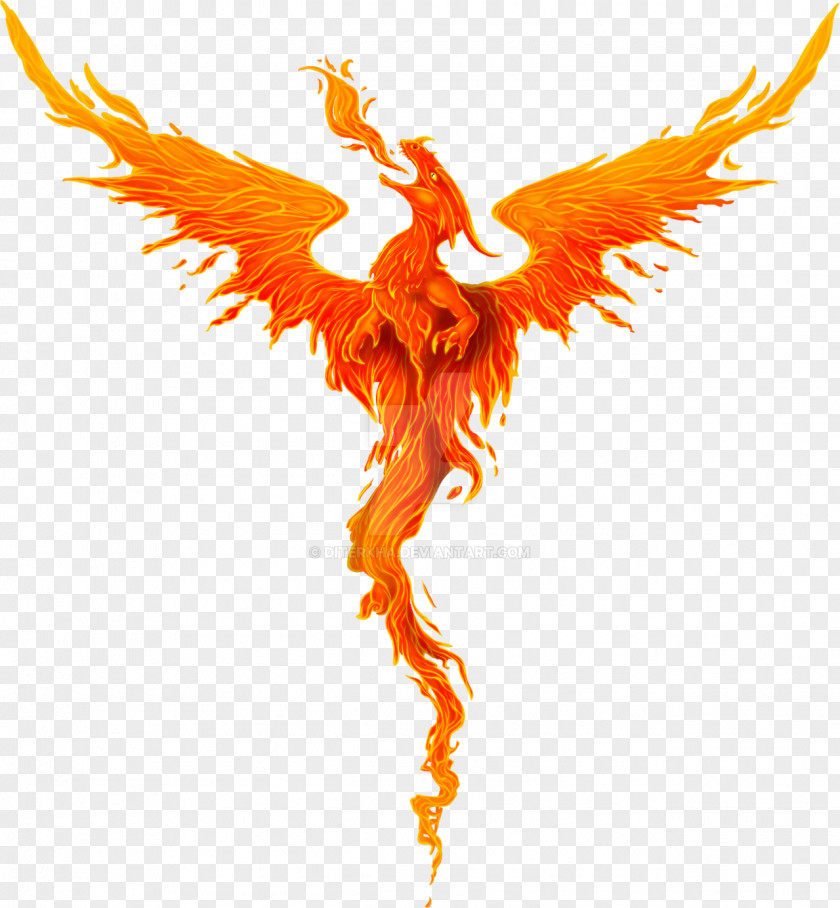 Phoenix Dragon Digital Art Drawing PNG