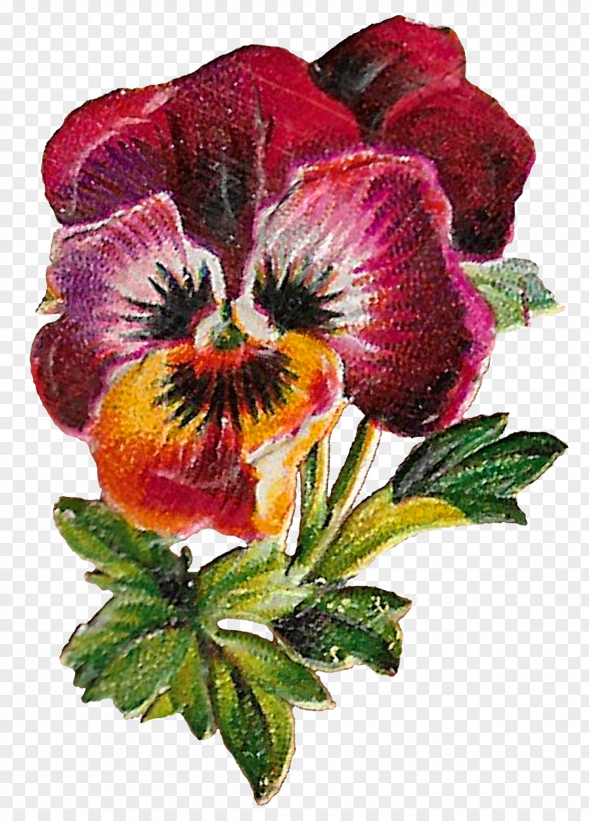 Purple Flower Pansy Clip Art Image PNG