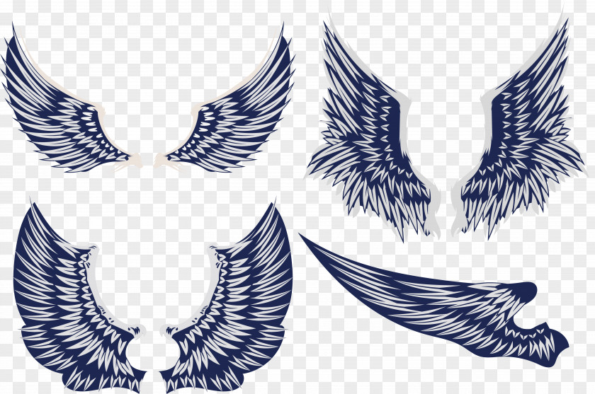 Creative Wings Wing Creativity Feather PNG