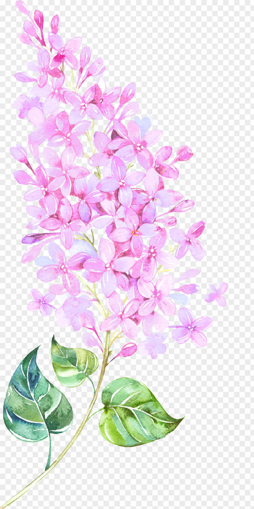 Floating Flower Watercolor Painting Floral Design PNG