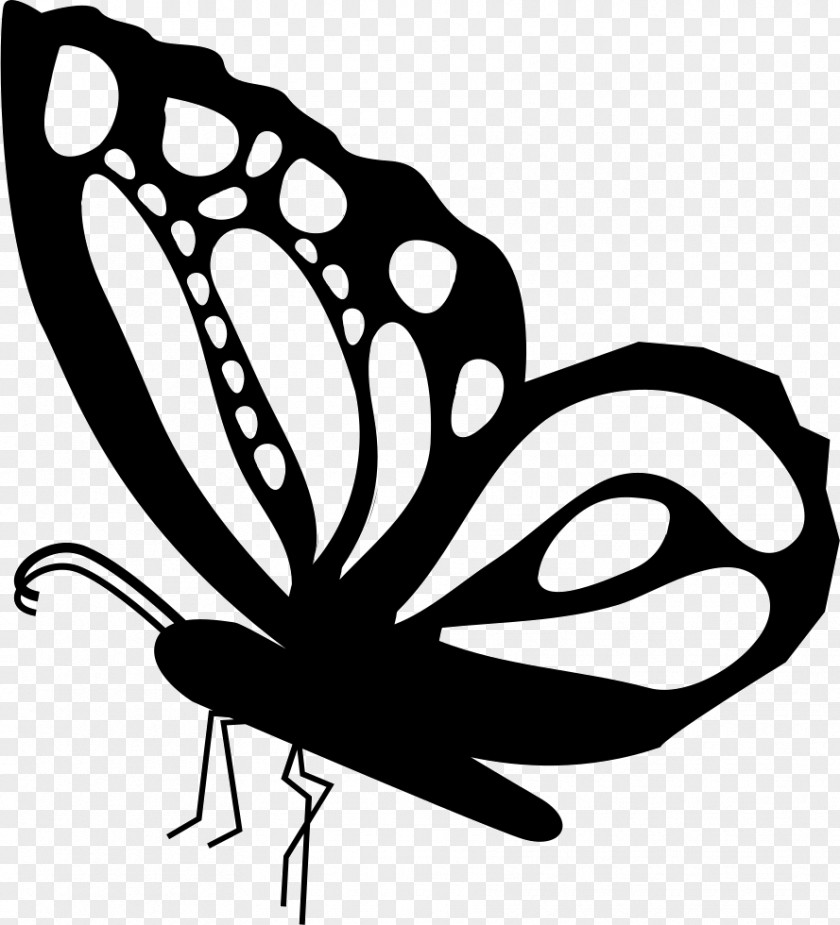 Handsome Vector Monarch Butterfly Insect Drawing Clip Art PNG