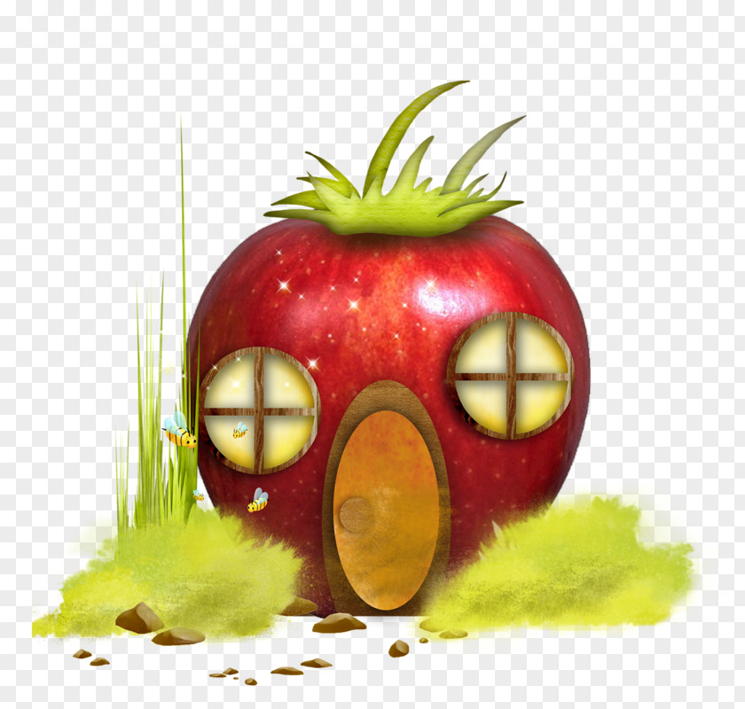 House Painted Apple Clip Art PNG