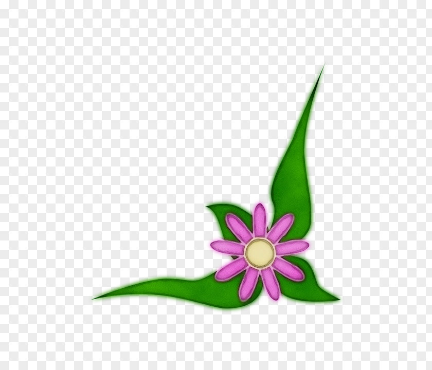 Magenta Leaf Green Petal Flower Plant Pink PNG