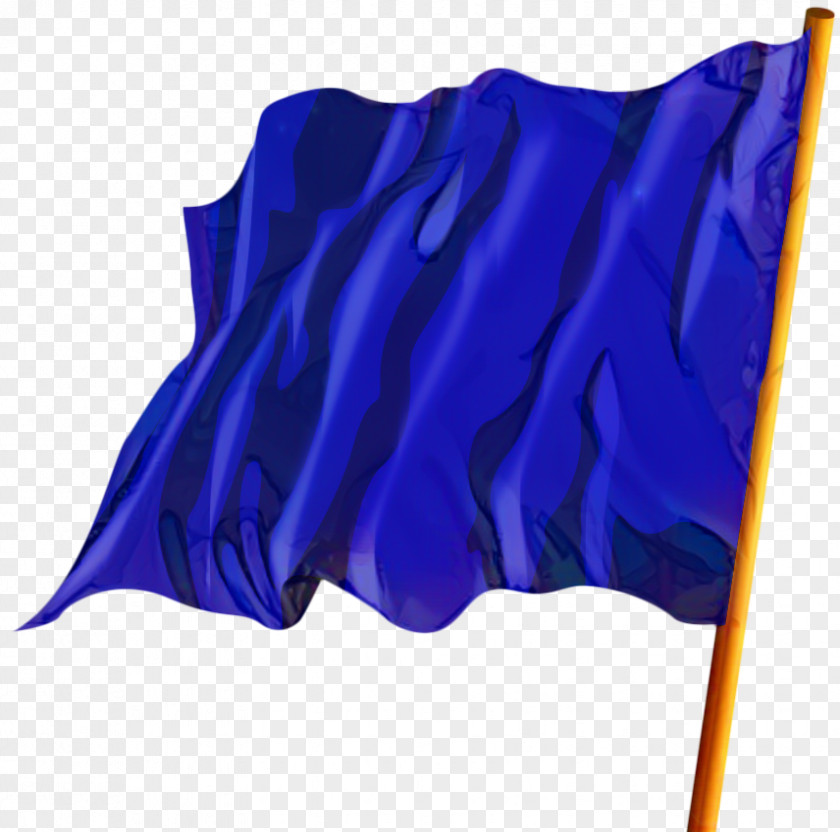 Violet Purple Flag Of India PNG