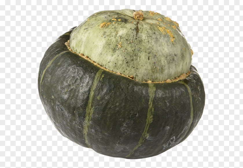 Melon Gourd Winter Squash Cucurbita Calabaza PNG