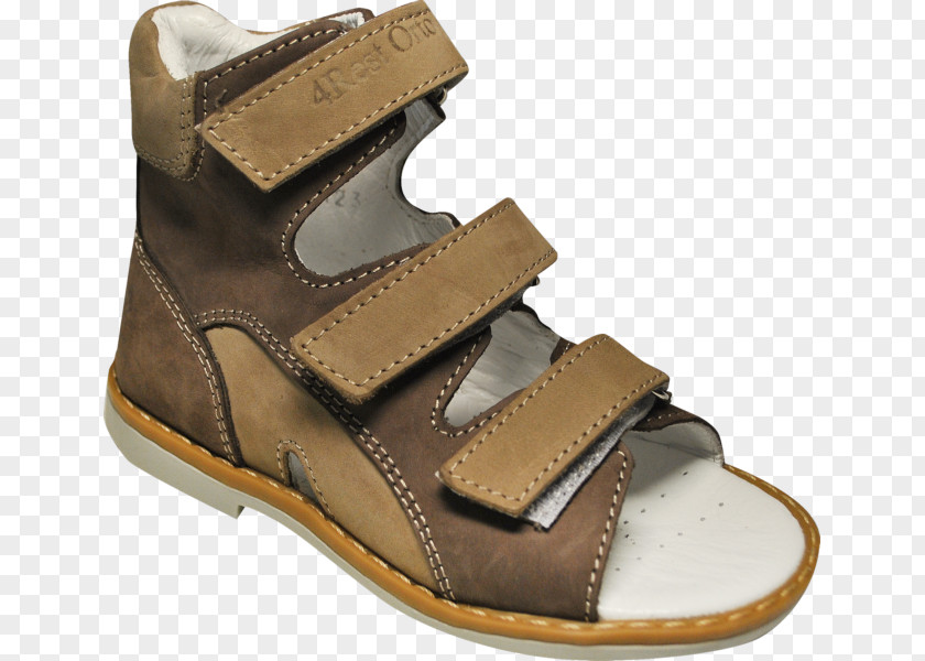 Sandal Slide Leather Shoe Walking PNG