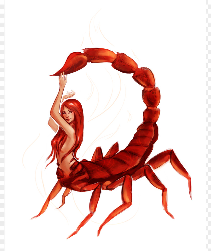 Scorpion Scorpio Drawing Woman Zodiac Astrological Sign PNG