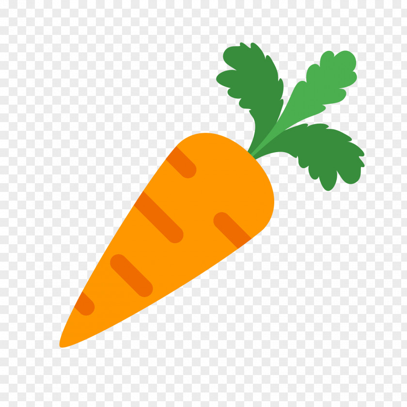 Vegetable Carrot PNG