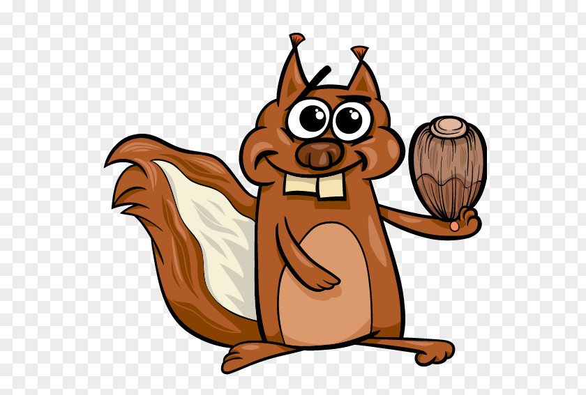 Bebek Kanguru Squirrel Stock Illustration Vector Graphics Photography PNG