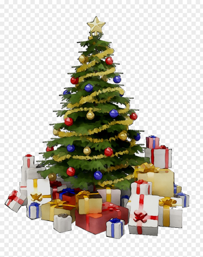 Christmas Tree Day Stock Photography Clip Art Image PNG