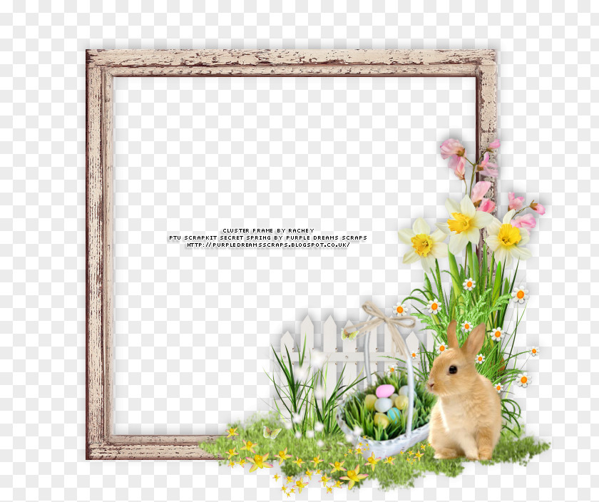 Easter Frame Picture Frames Digital Scrapbooking PNG