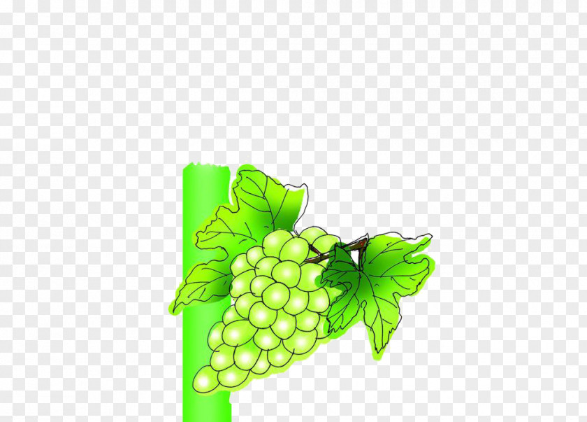 Grape Wine Juice Packaging And Labeling PNG