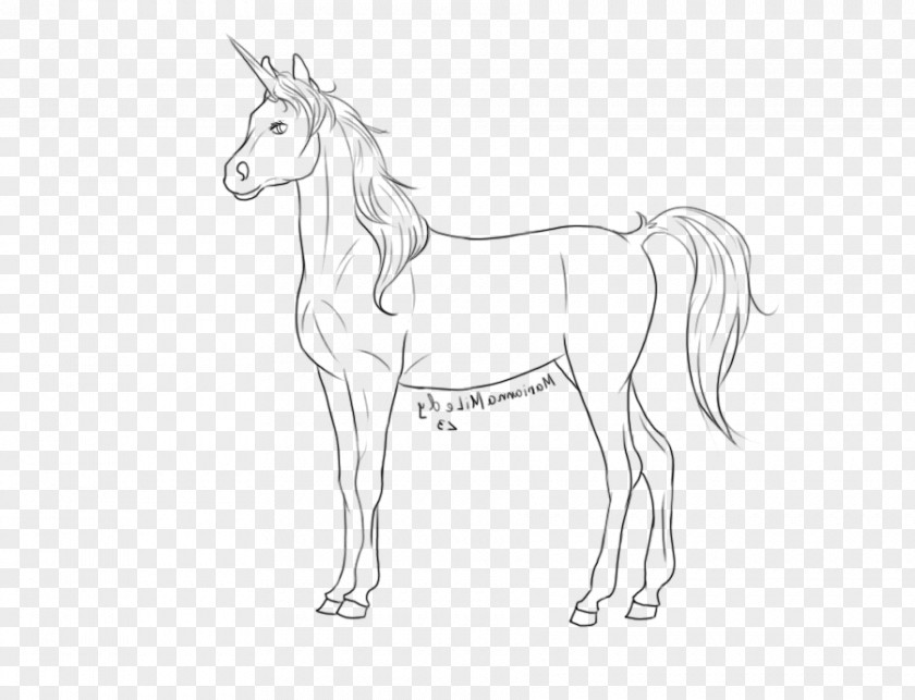 Mustang Mule Foal Stallion Colt Halter PNG