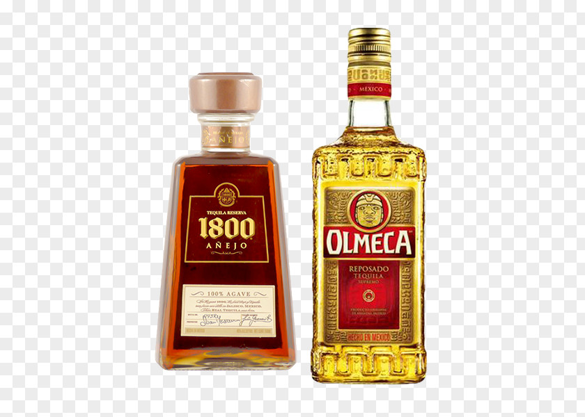 Cocktail Olmeca Tequila Distilled Beverage Wine PNG