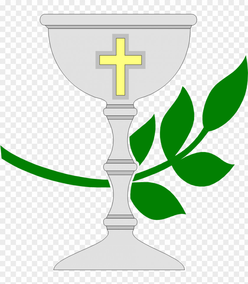Communion First Eucharist Chalice Christianity PNG