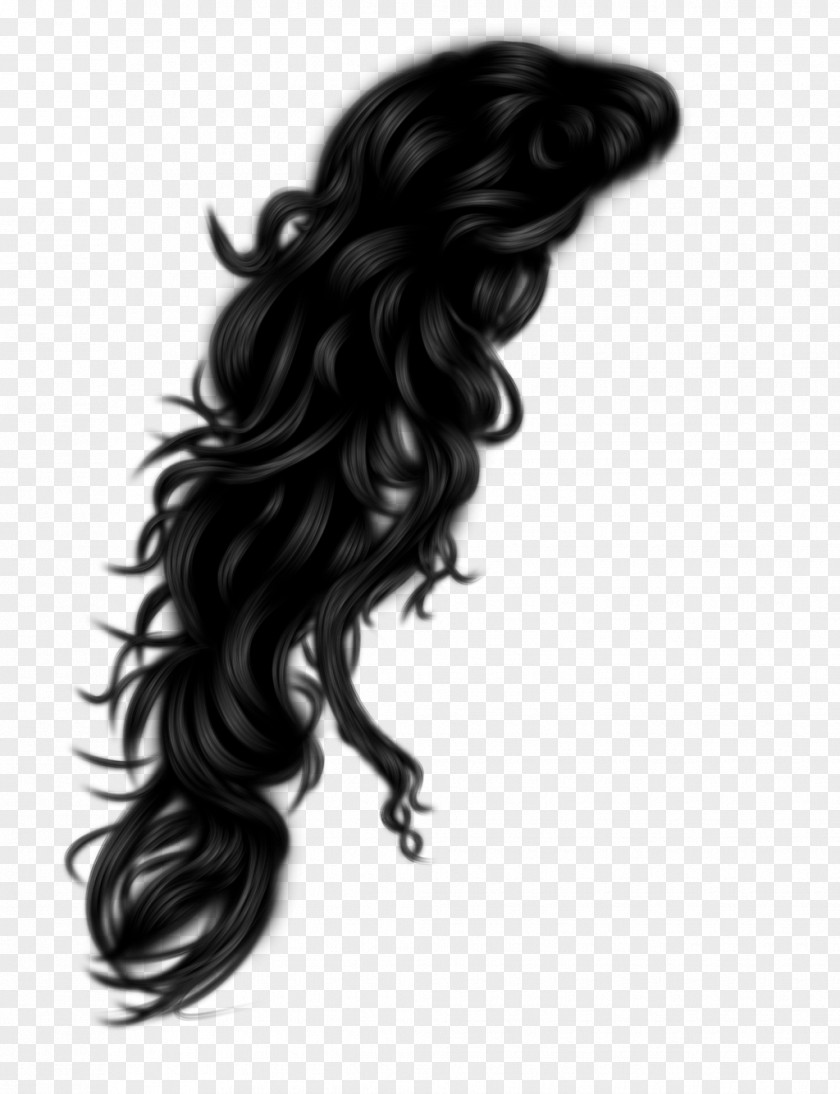 Hair Black Hairstyle Wig PNG