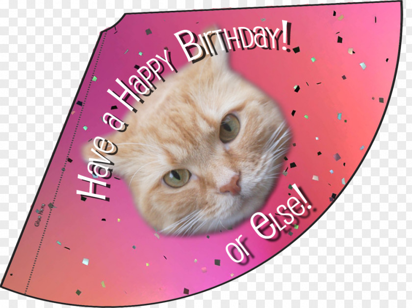 Kitten Whiskers Birthday Party Hat PNG