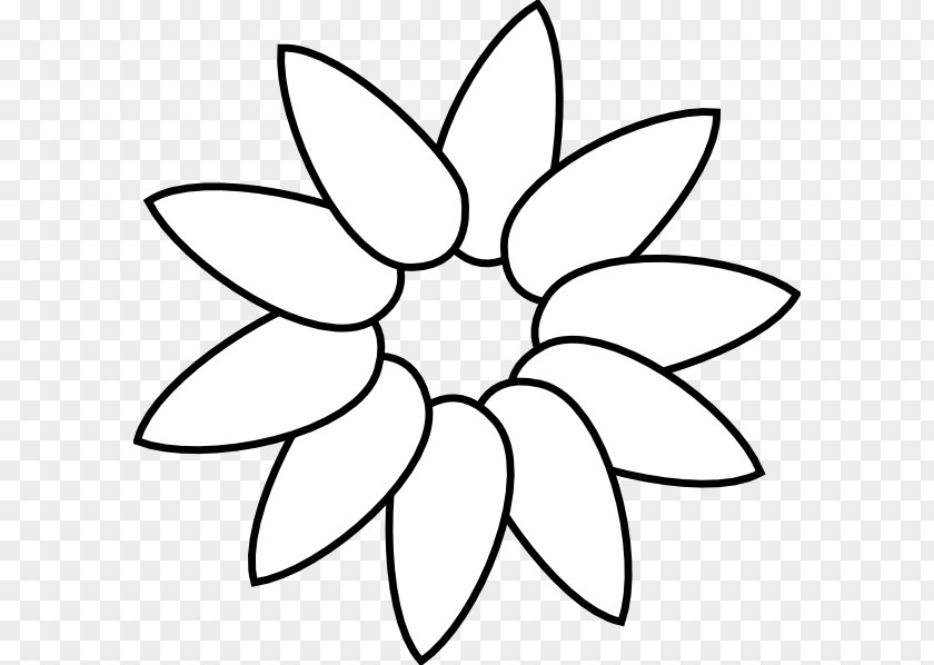 Layered Vector Common Sunflower Petal Drawing Clip Art PNG