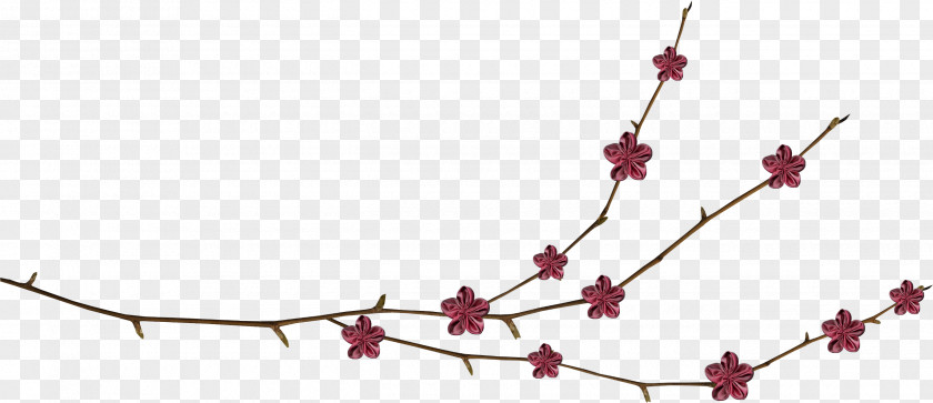 Memories Plant Stem Vine Tree PNG