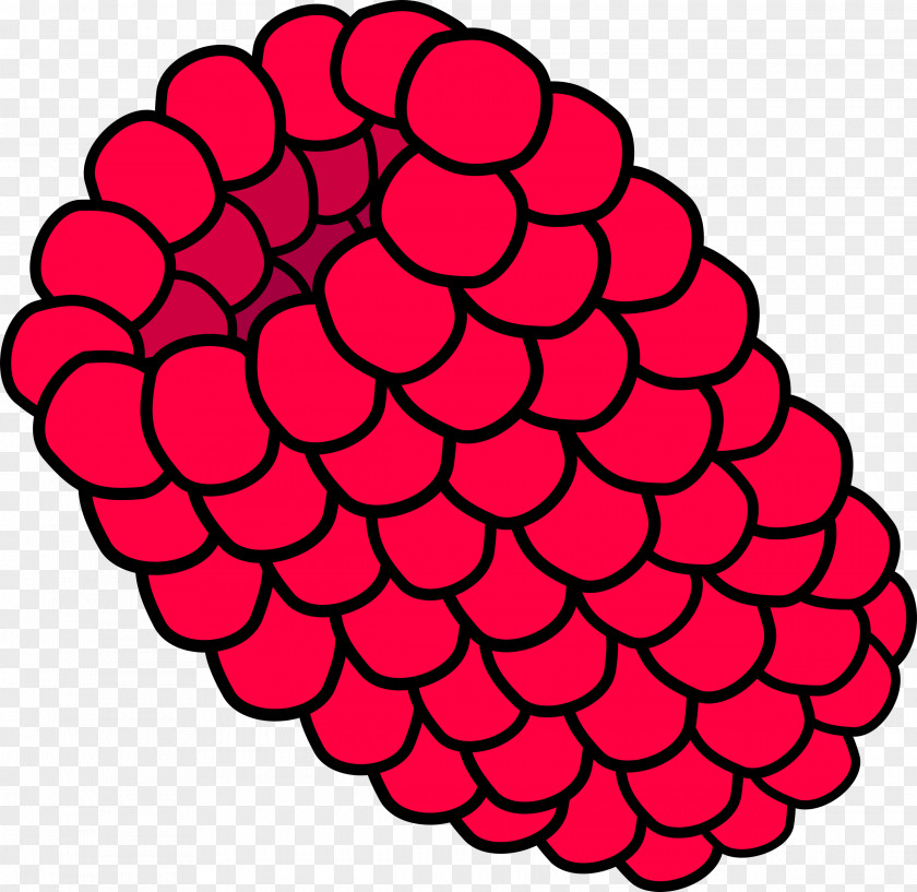 Raspberry Black Clip Art PNG