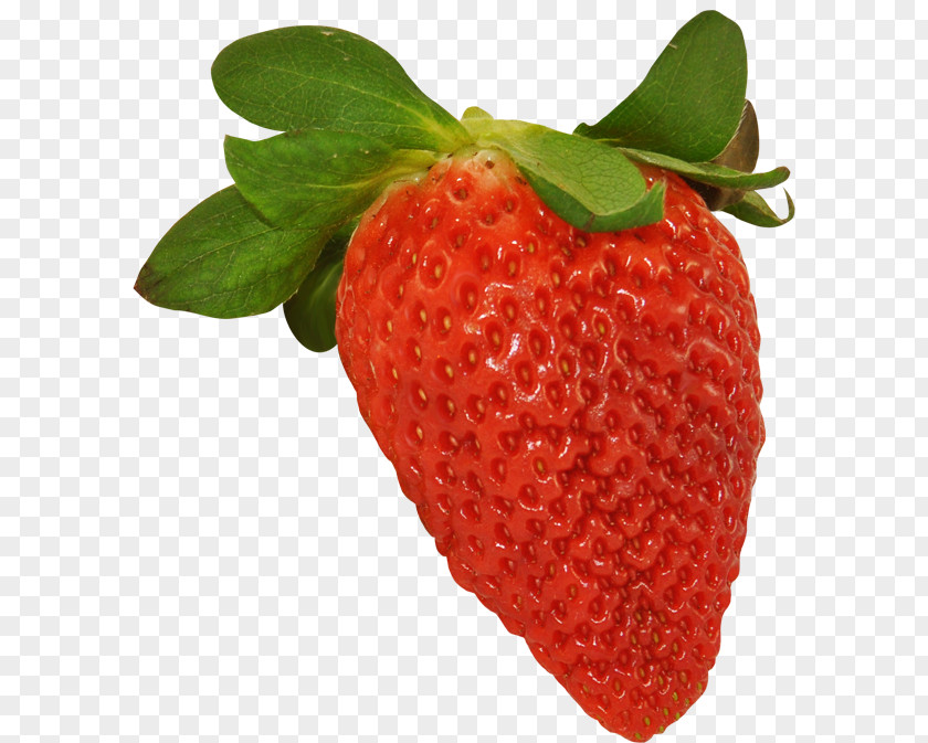 Strawberry Photography Food Clip Art PNG