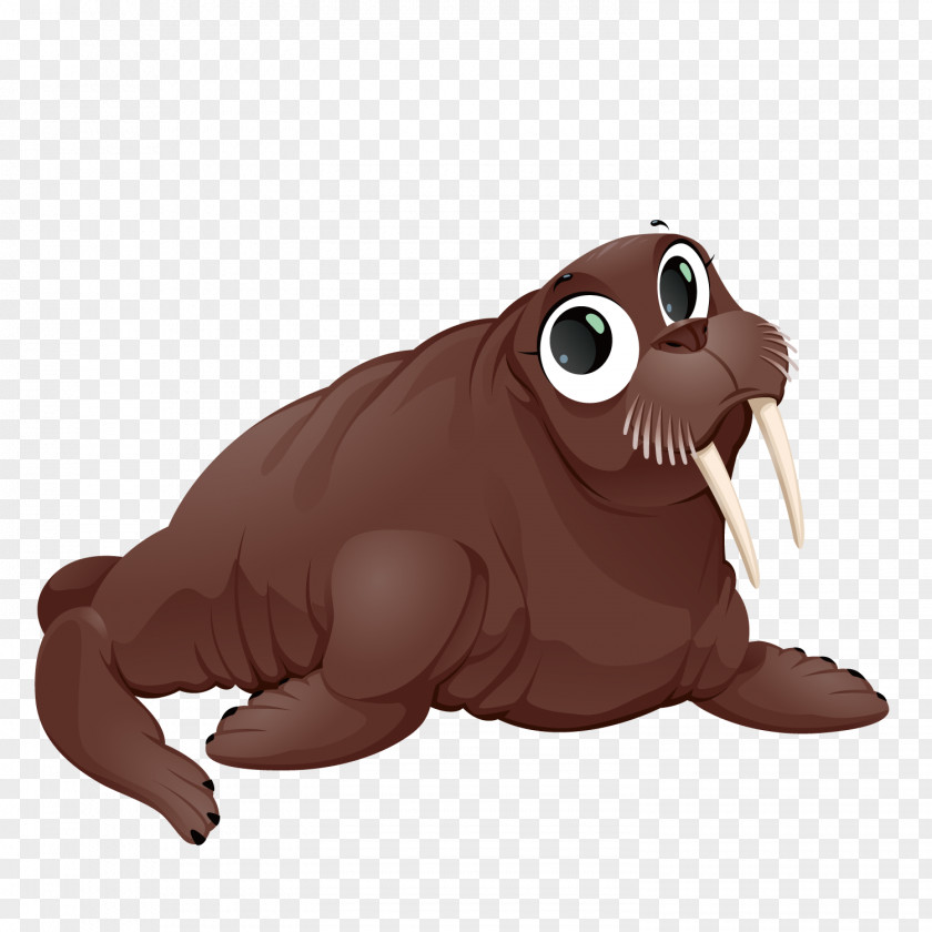 Vector Sea Lion Polar Bear Walrus Arctic PNG